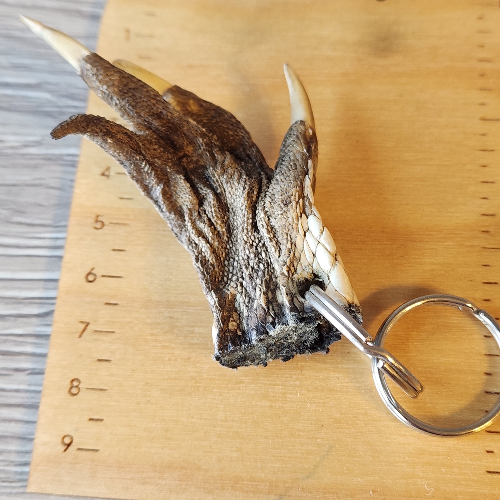 Aligator Unique Claw Keychain Double Key Rings - Picture 3 of 6